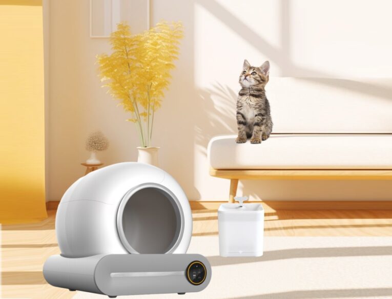 Automatic Litter Box For Cats Edition and Gift Automatic Fountain Water