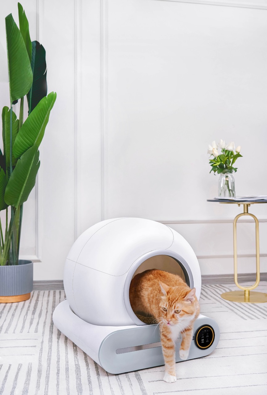 Self-cleaning Cat Litter Box